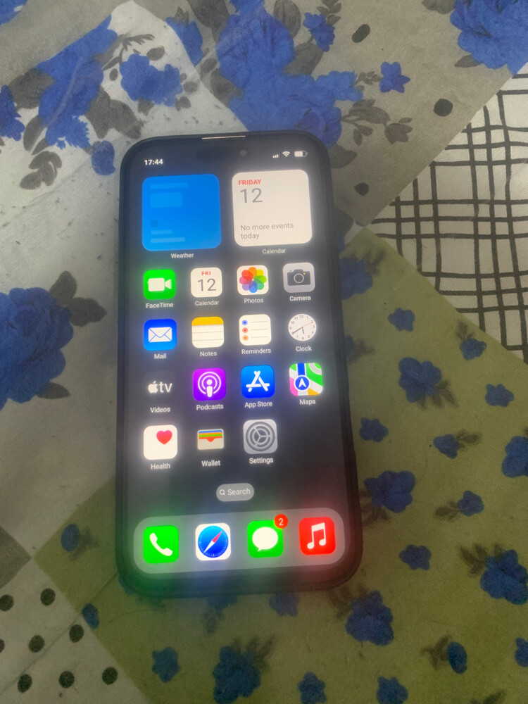 16 pro max - 1