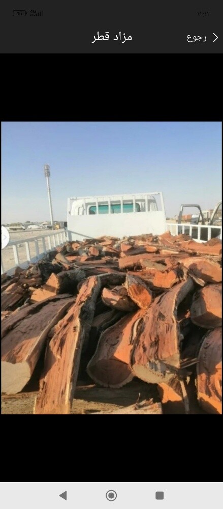 حطب سدر ناشف - 1