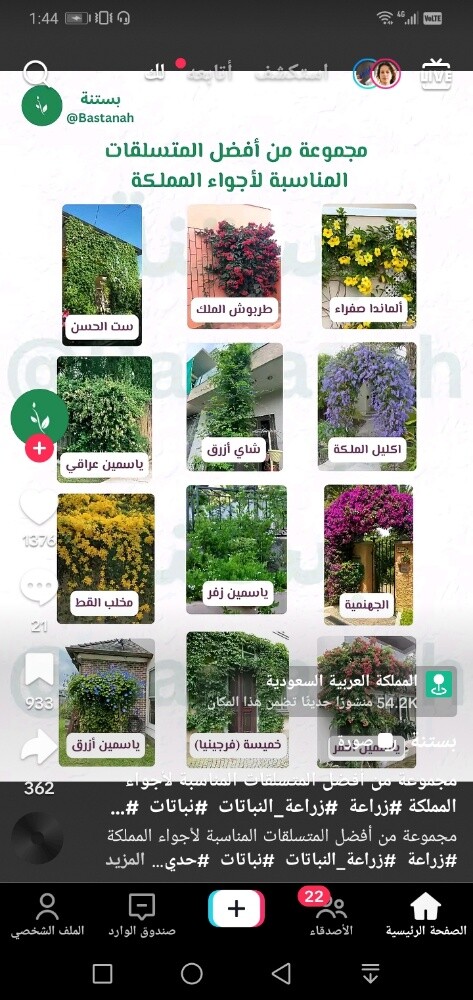 تنسيق حدائق - 5