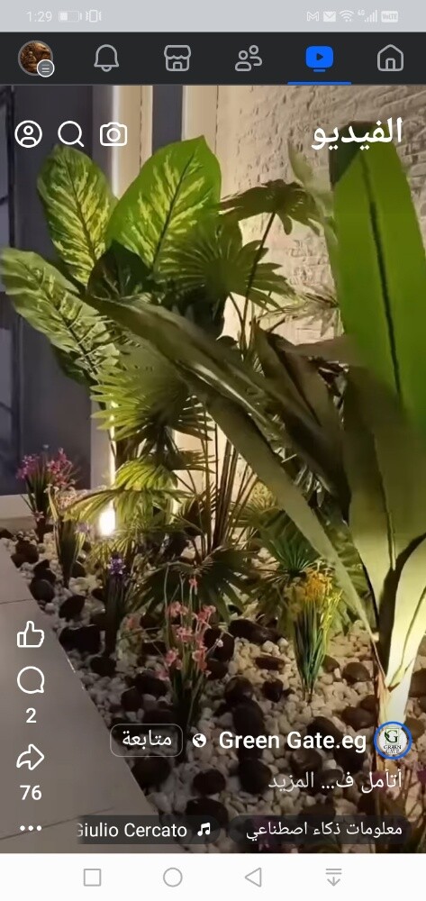 تنسيق حدائق - 2