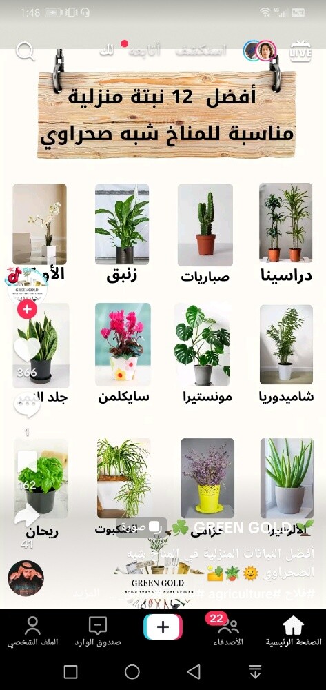 تنسيق حدائق - 4