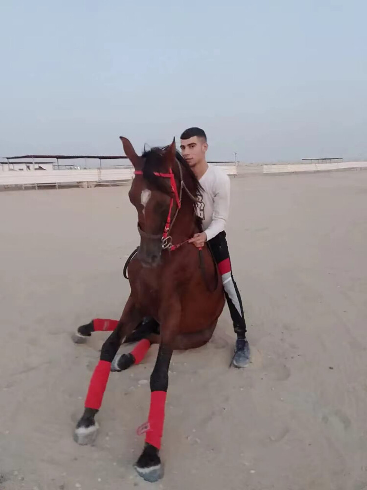 Hourse trainer Jockey Stable - 5