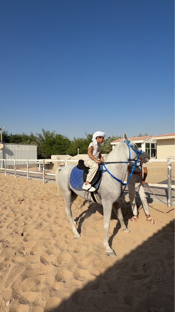 Hourse trainer Jockey Stable - 8