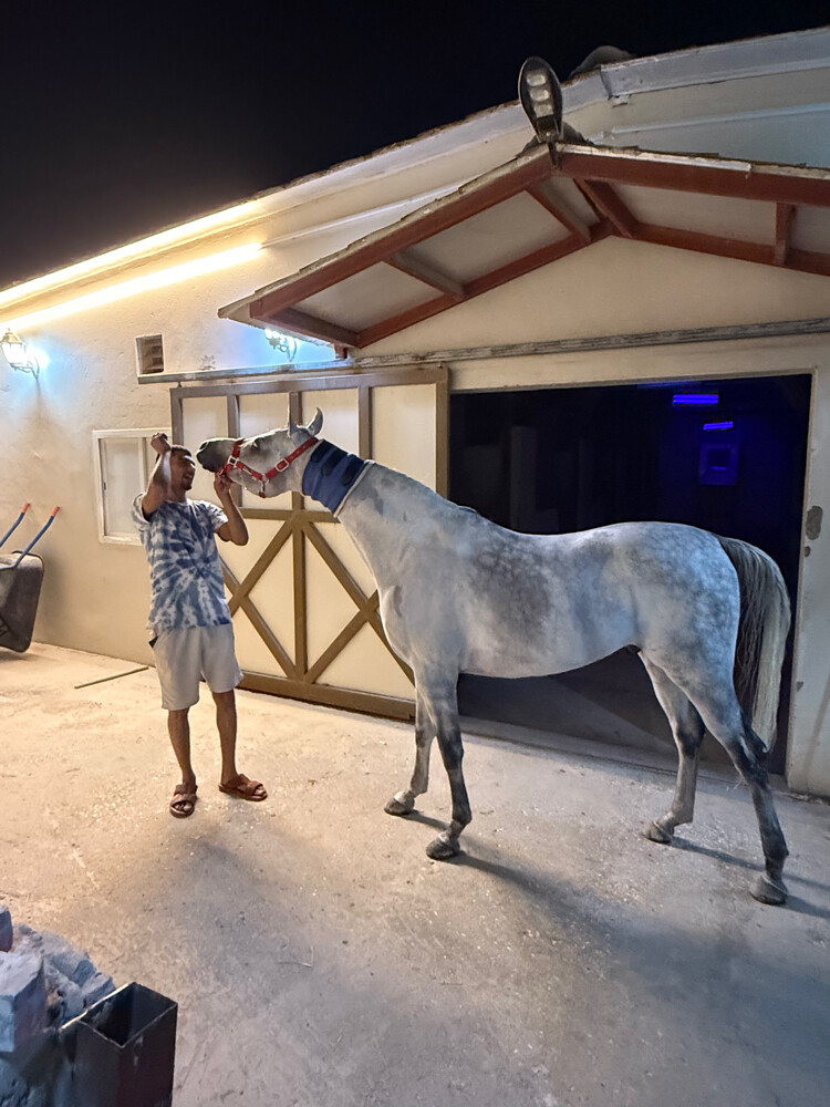 Hourse trainer Jockey Stable - 7