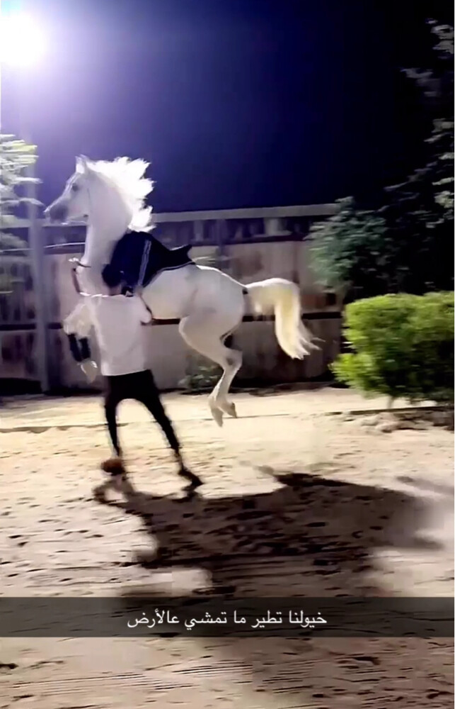 Hourse trainer Jockey Stable - 3