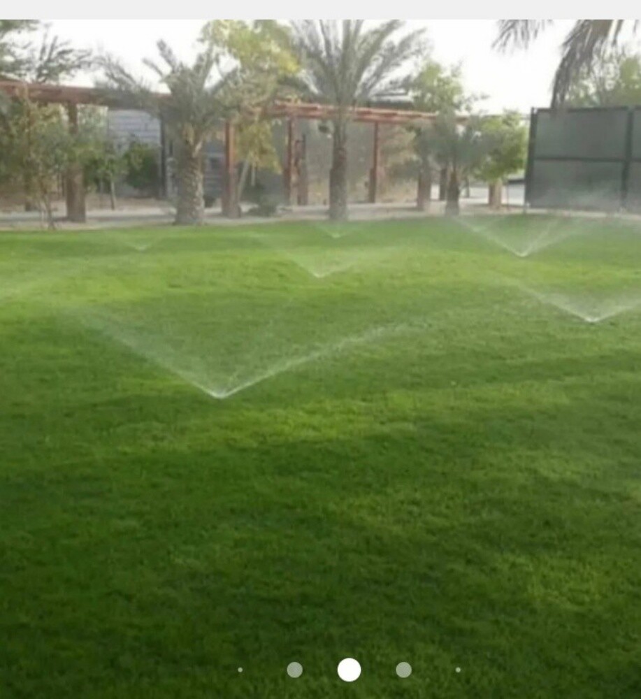 نخيل اخلاص - 8