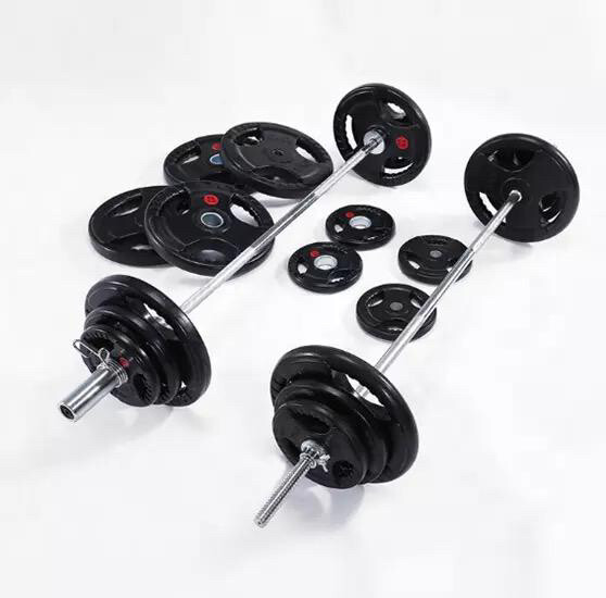 Olympic Weight plate and barbell - 3