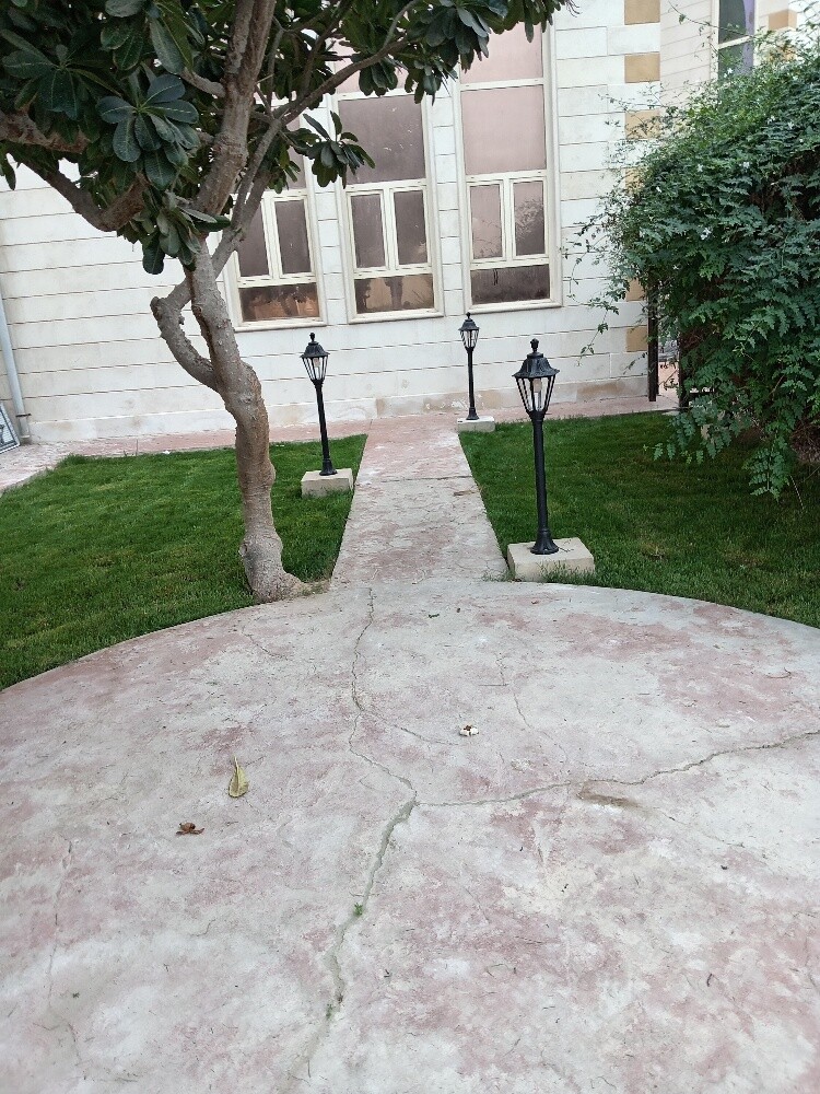 زراعه وديكور - 1