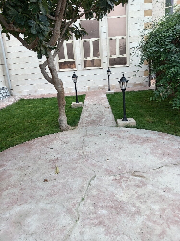 زراعه وديكور - 2