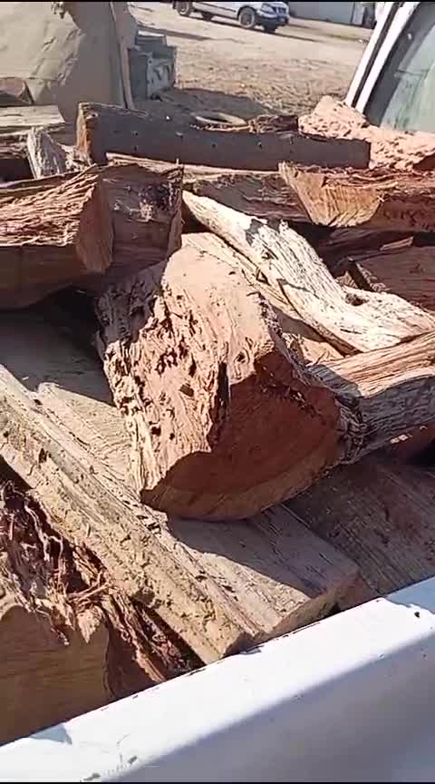 حطب ناشف... - 1