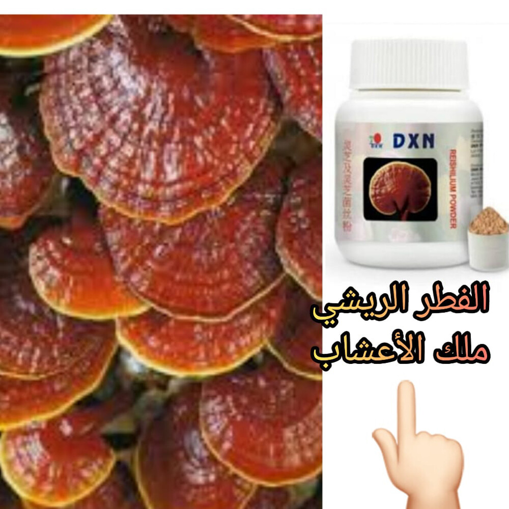 الفطر الريشي فطر الجانوديرما - 4