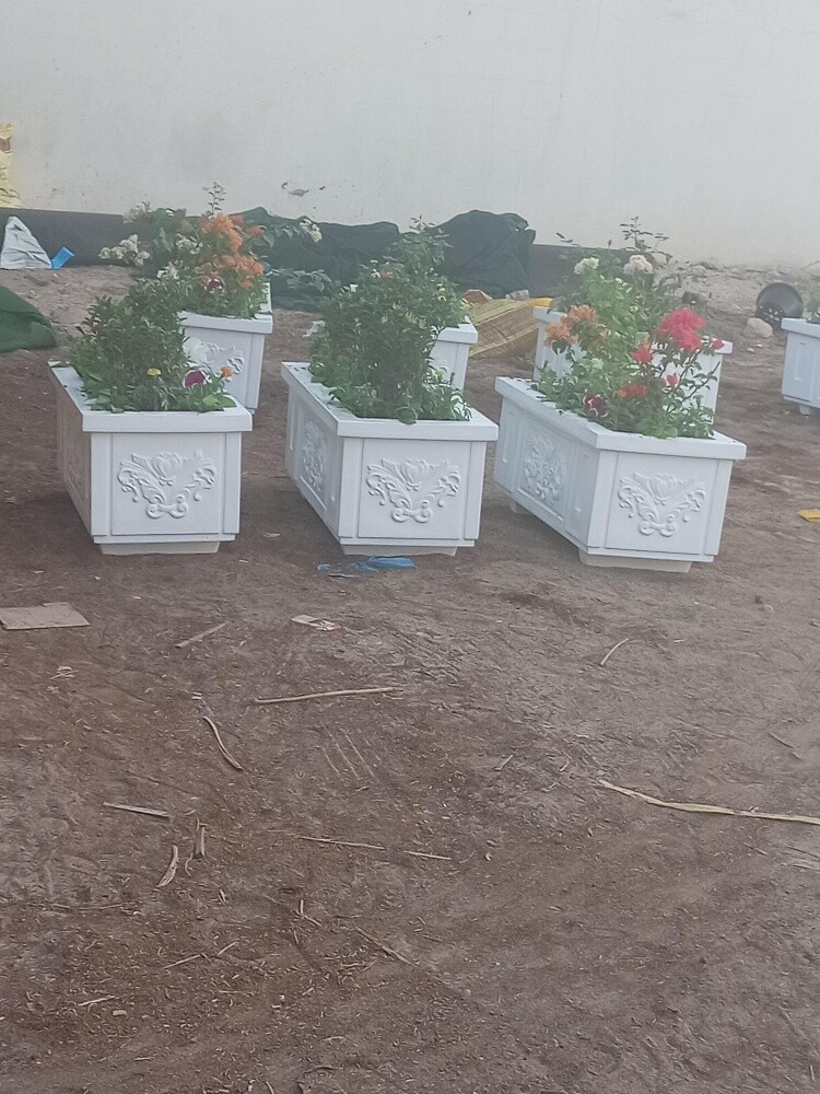 زراعه وديكور - 2