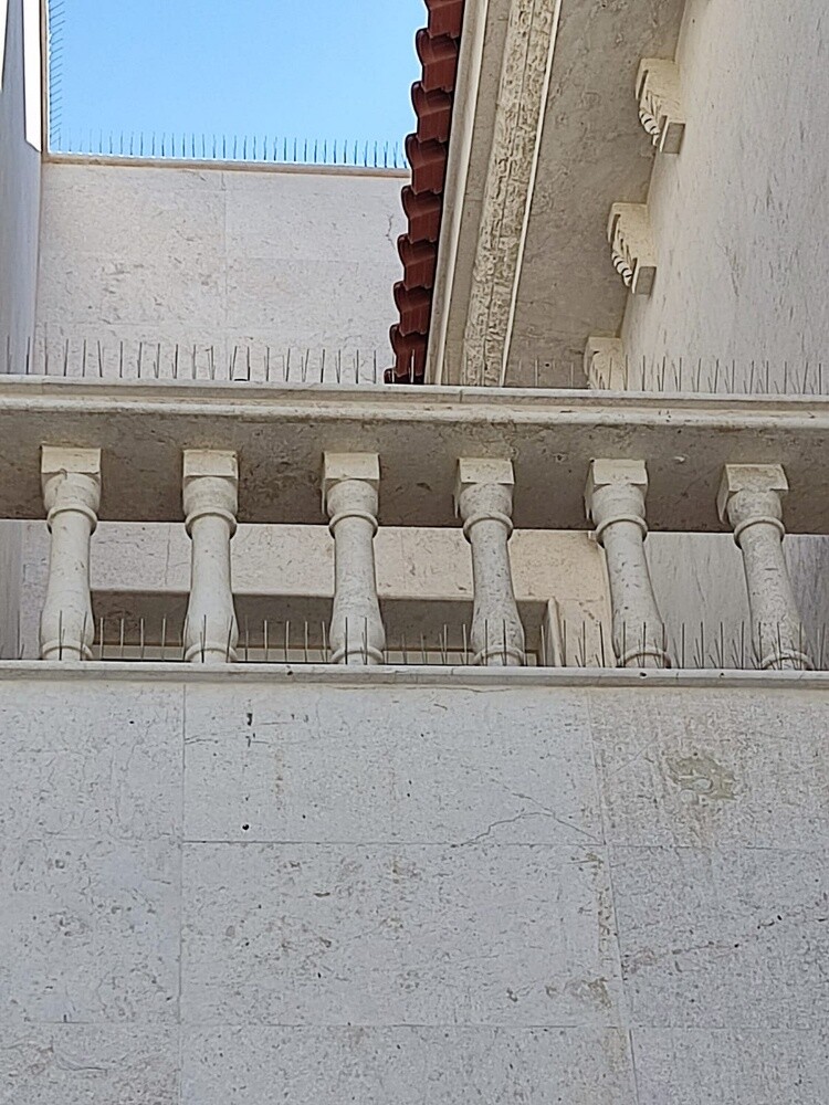 أحمد - 4