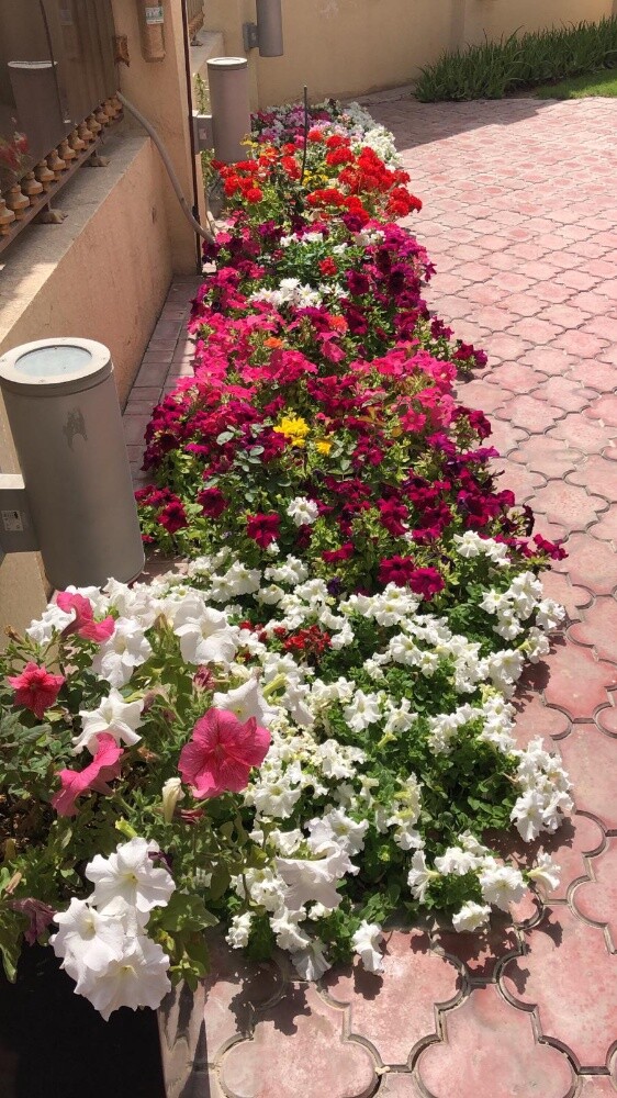 زراعه - 3