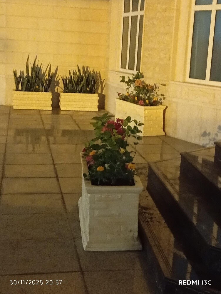 توريد وزراعه الاحواض - 4