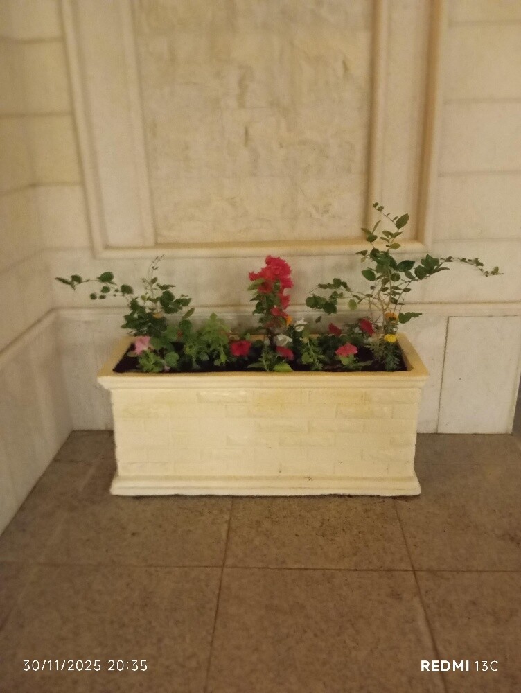 توريد وزراعه الاحواض - 3