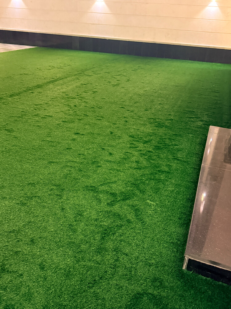 Artificial Grass Carpet - 5