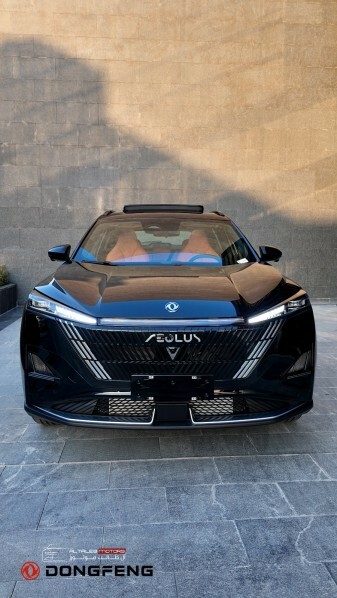 دونج فينج ميج 2026 — image 1