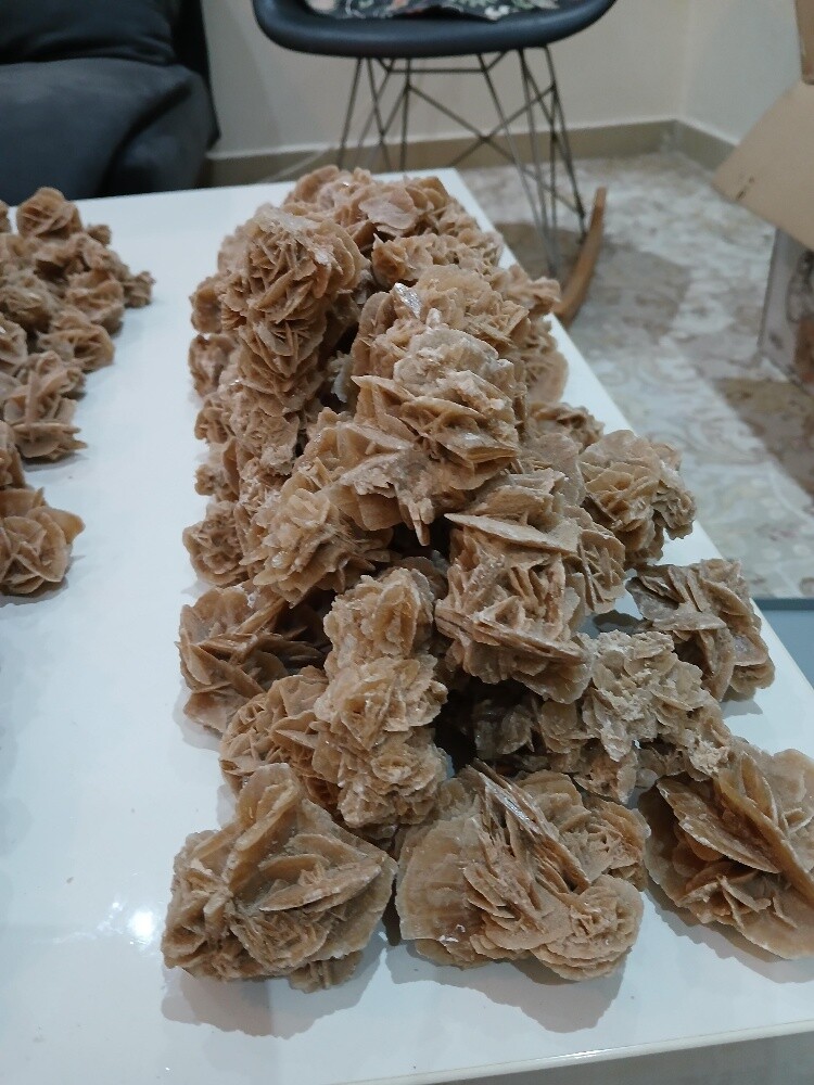 Desert Rose - 2