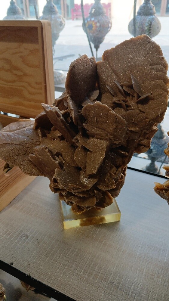 Desert Rose - 6