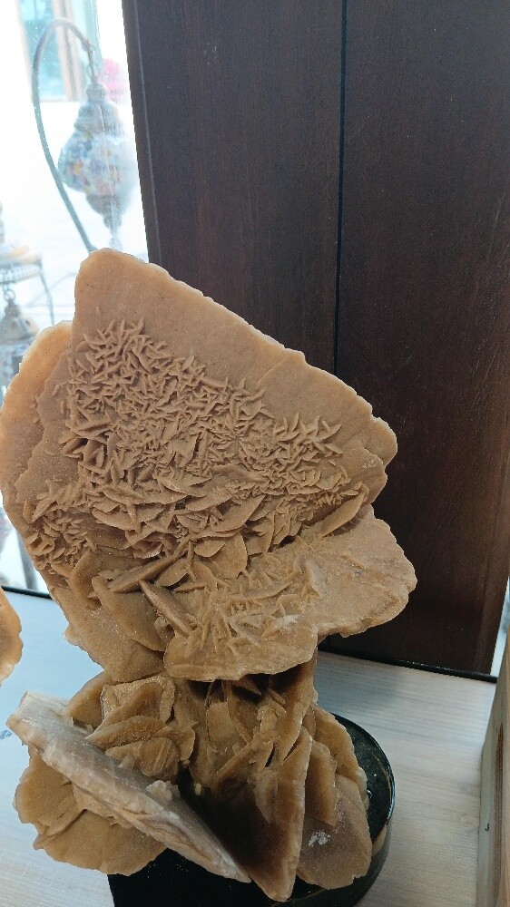 Desert Rose - 7
