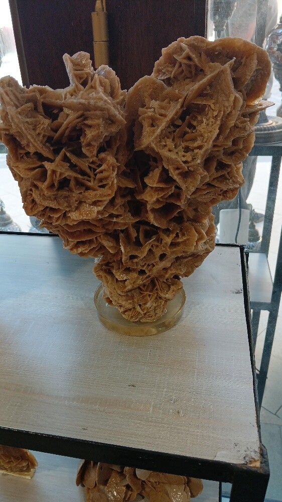 Desert Rose - 9