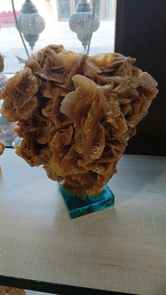 Desert Rose - 5