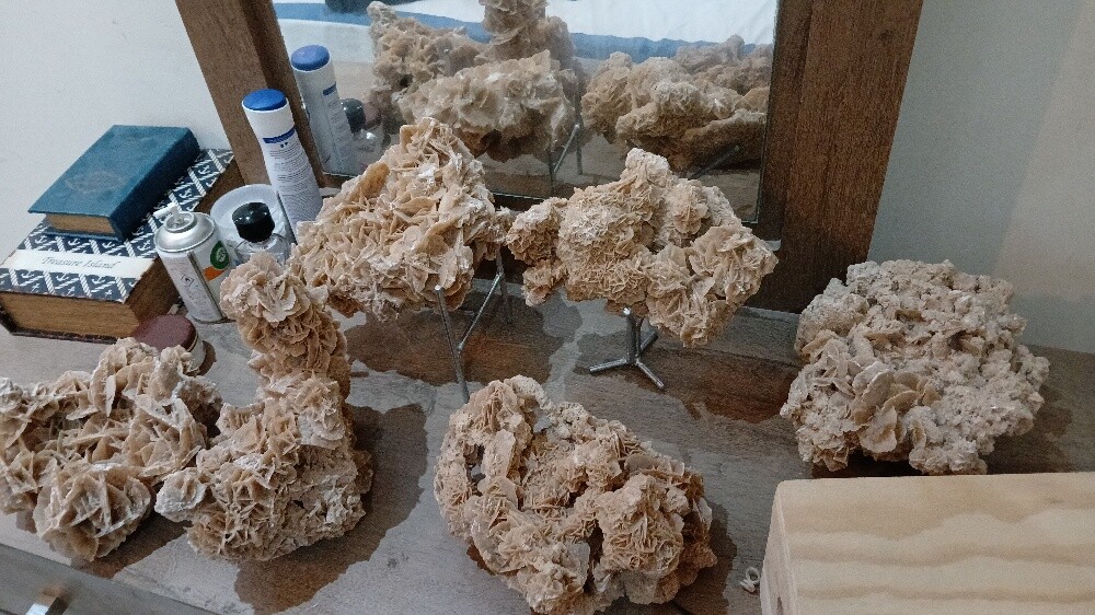 Desert Rose - 16