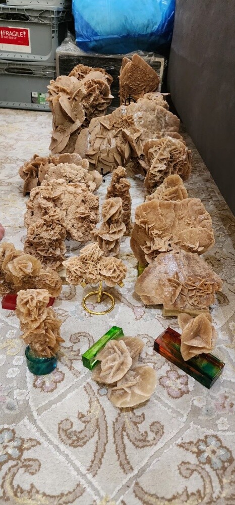 Desert Rose - 10