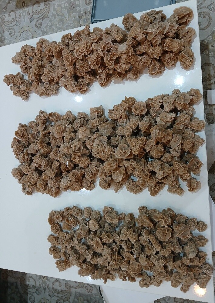 Desert Rose - 3