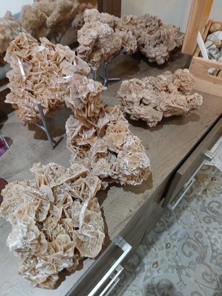 Desert Rose - 1