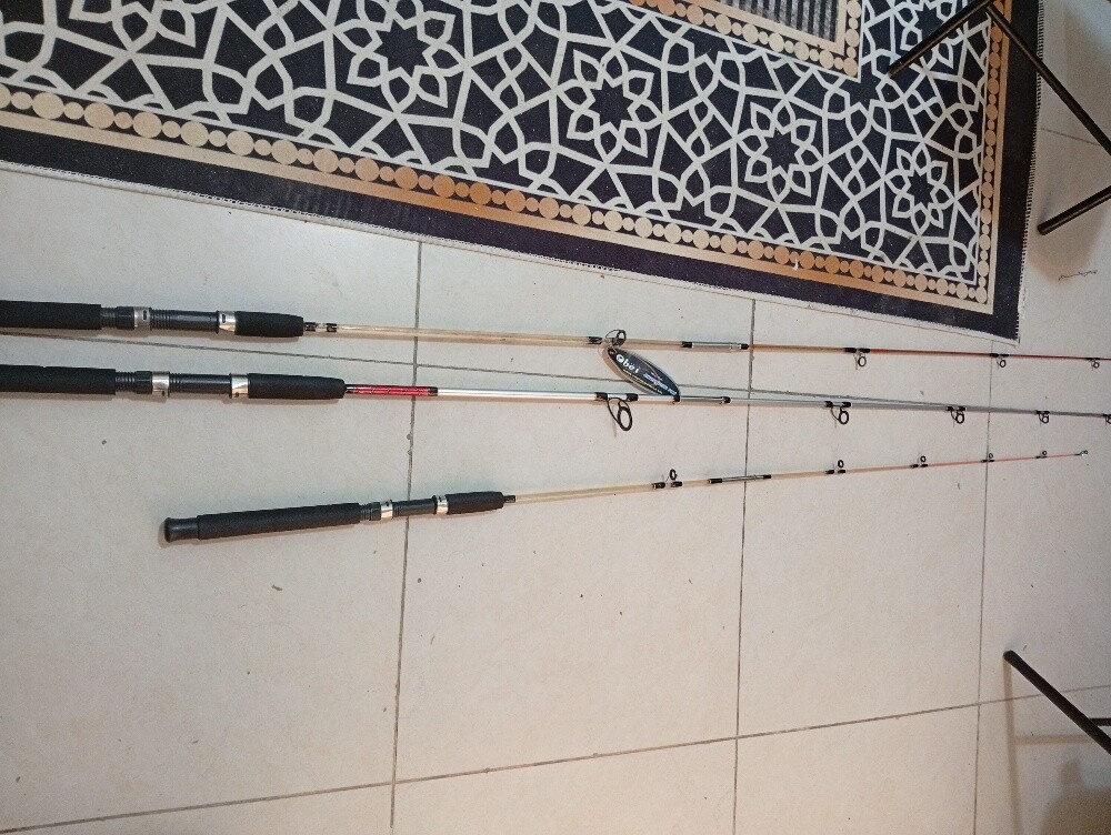 قصبات صيد صب قطعتين عدد ٢ ومكينة - 2
