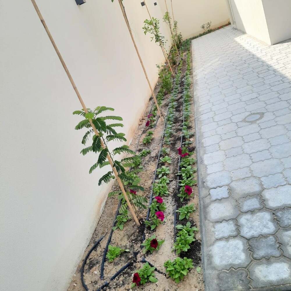 زراعة الورود والأشجار - 2