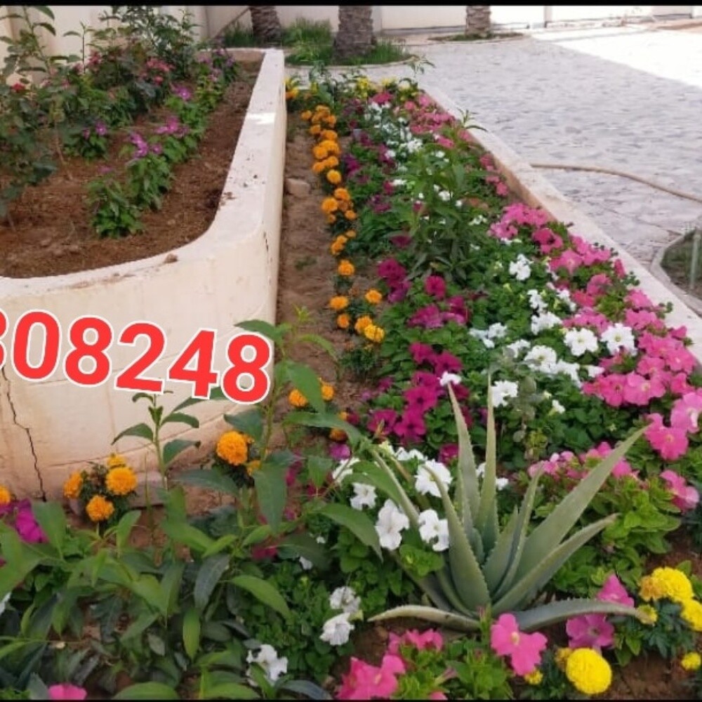 زراعة الورود والأشجار - 4