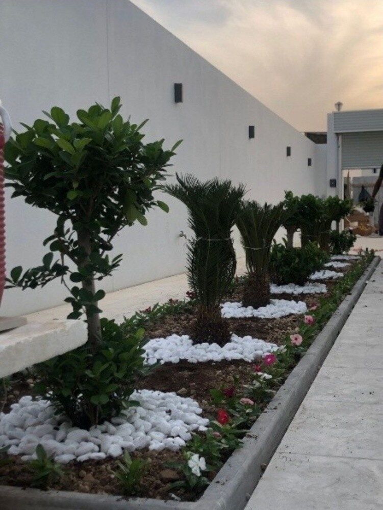 تنسيق حدائق - 2