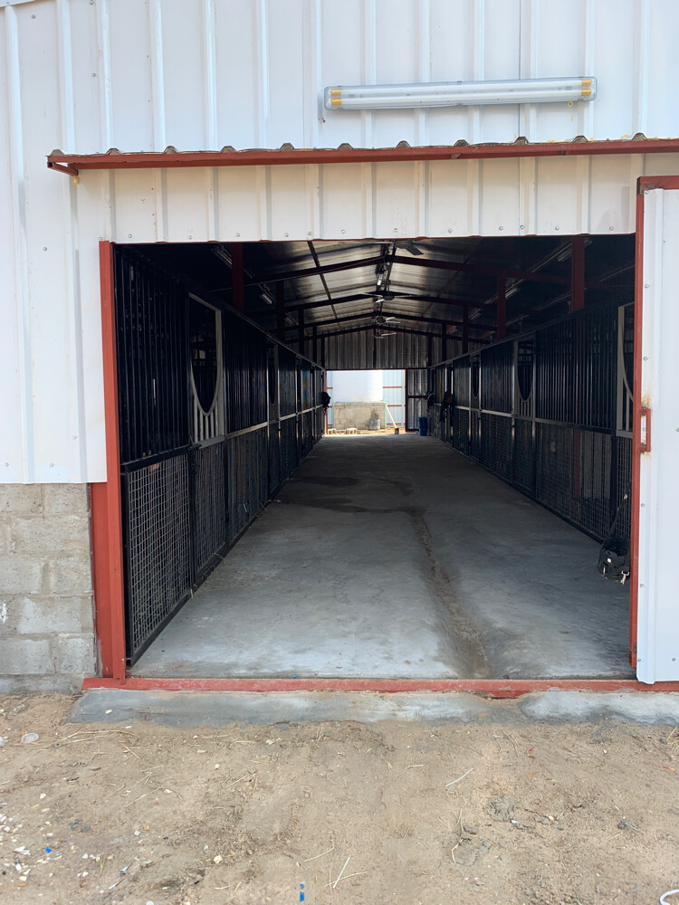 Horse house 4 room - 2