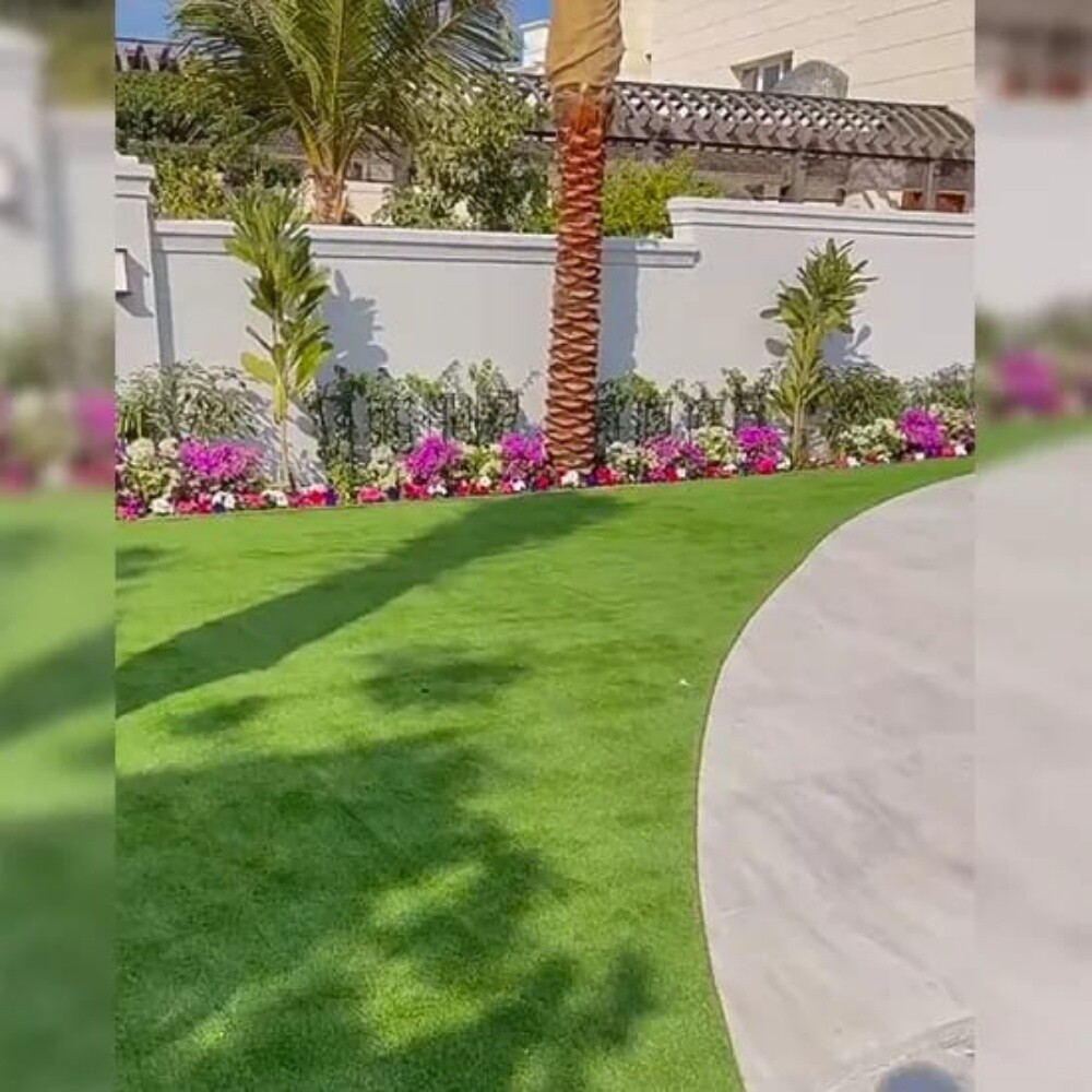 زراعه العشب الاخضر - 2