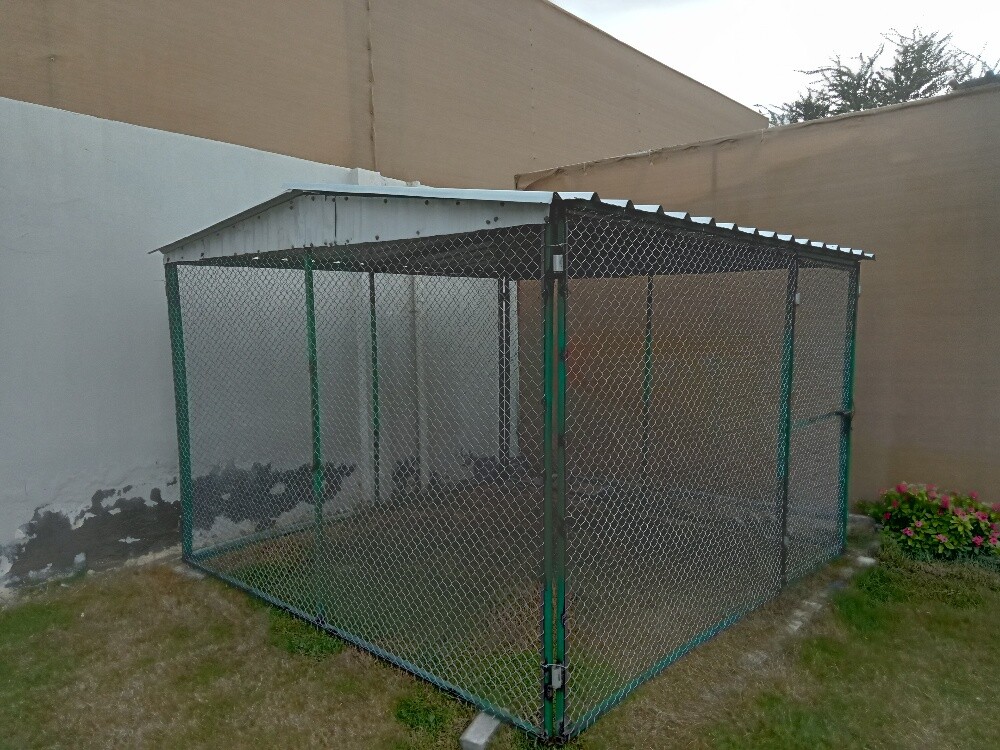 Gopac-- chicken. Hammam - 2