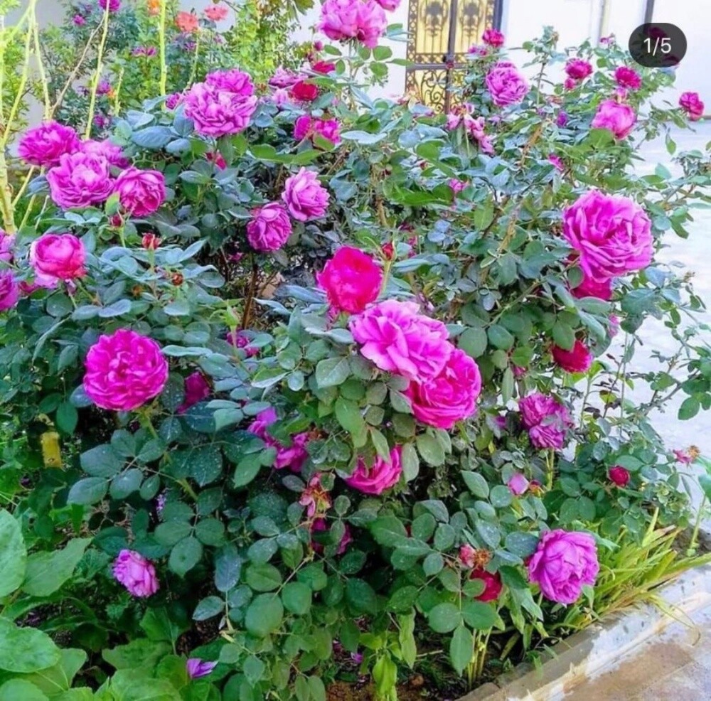 نقوم بعمل الصيانه - 1