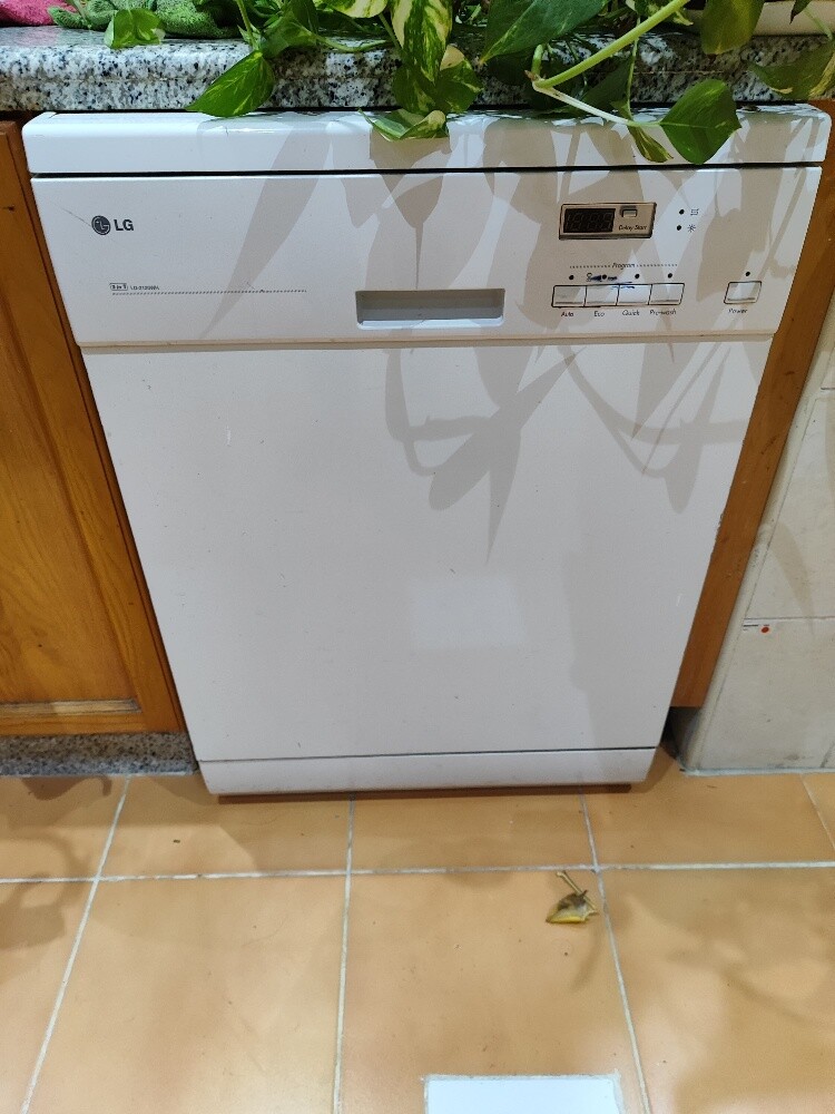 LG dishwasher - 1