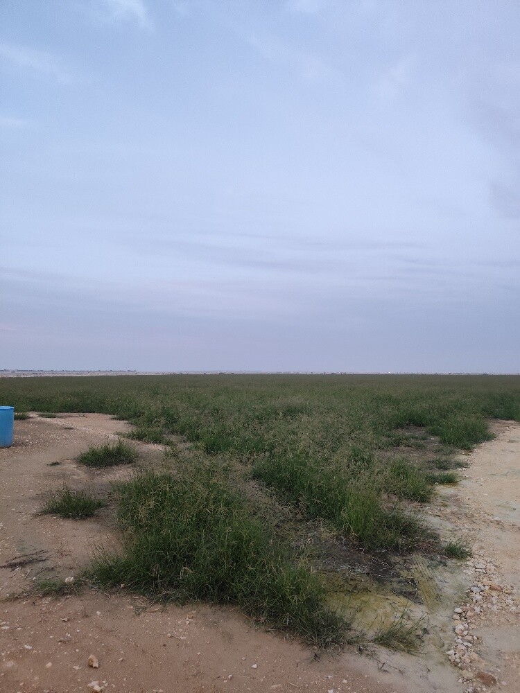 Farm for sale Umm salal - 3