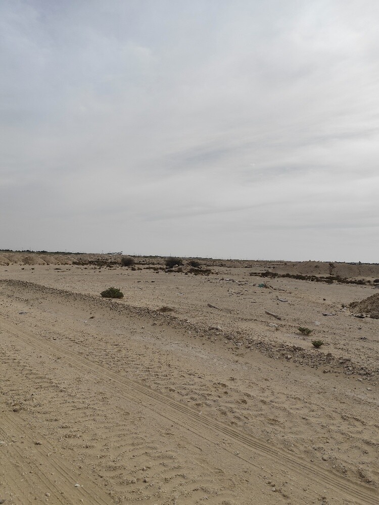 Farm for sale Umm salal - 11