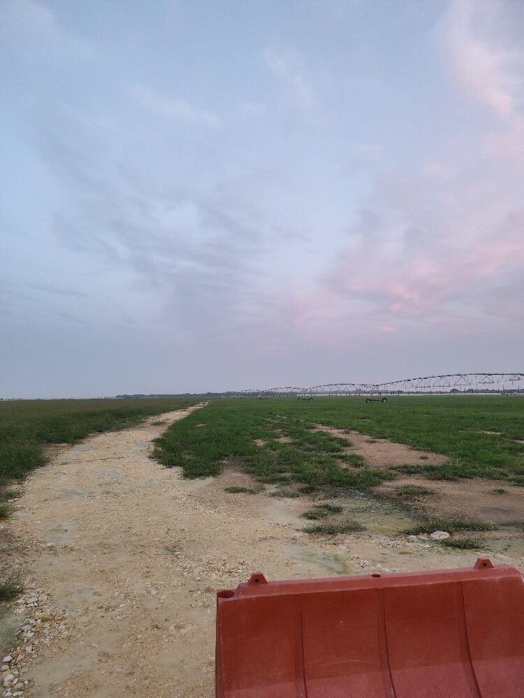 Farm for sale Umm salal - 7