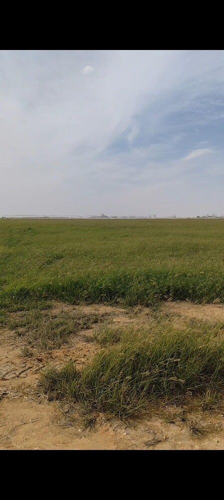 Farm for sale Umm salal - 1