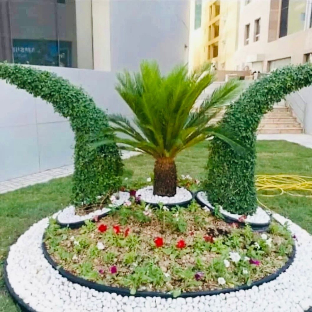 منسق حدائق - 1
