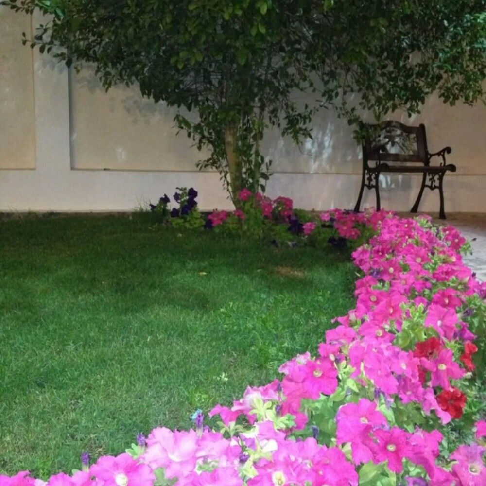 منسق حدائق - 4