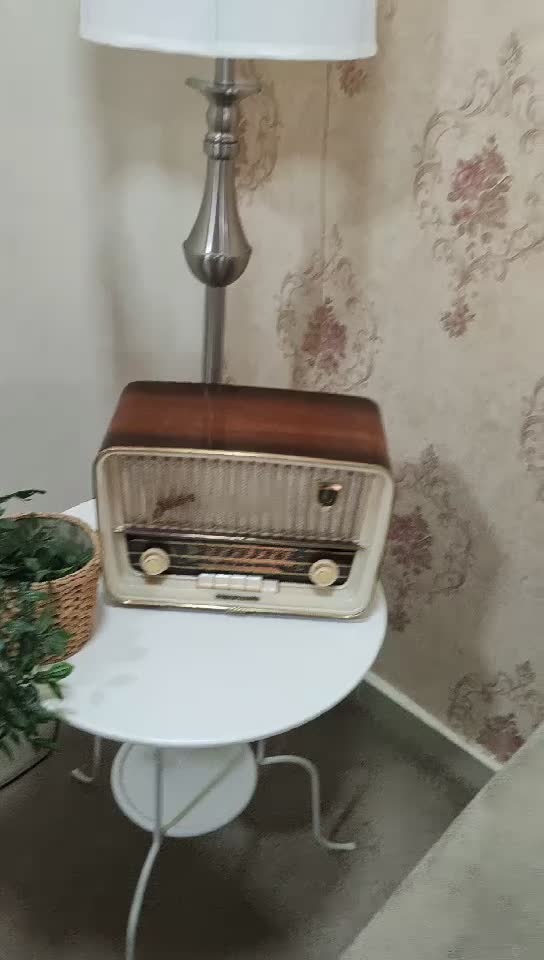 Vintage Telefunken jubilate 9 - 12