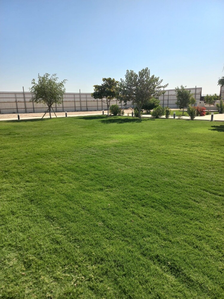 توريد وزراعة العشب والنخيل - 13