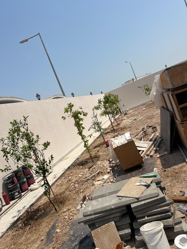 زراعة اوشنطونيا والنخيل المثمر - 12