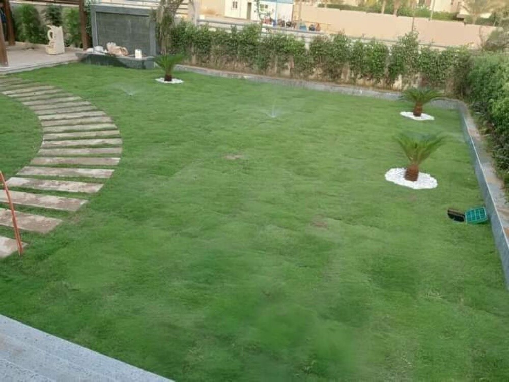 زراع - 8